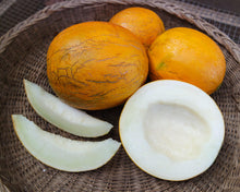 Load image into Gallery viewer, Melon-Kazakh