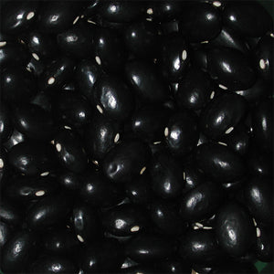 Beans-Bush-Black Coco
