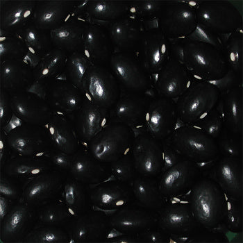 Beans-Bush-Black Coco