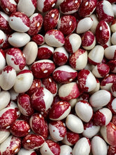 Load image into Gallery viewer, Beans-Pole-Di Casalbono Punzariedd