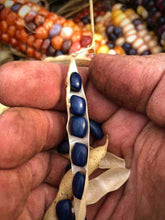 Load image into Gallery viewer, Beans-Pole-Nonna Agnes Blue