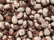 Load image into Gallery viewer, Beans-Pole-Pellegrini
