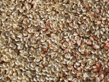 Load image into Gallery viewer, Amaranth-Anaranjado