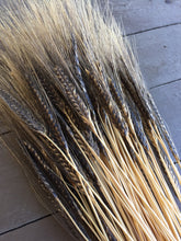 Load image into Gallery viewer, Einkorn-Black