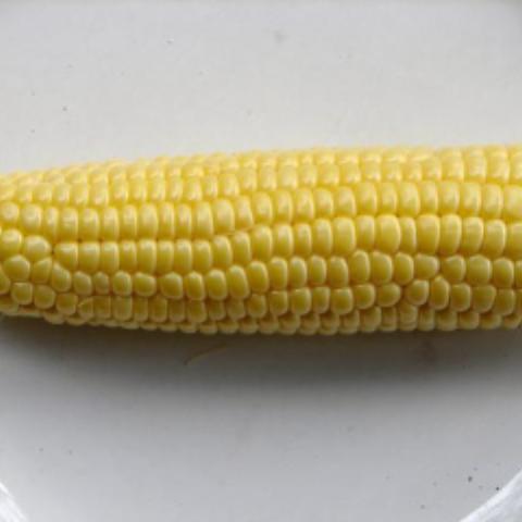 Corn-Sweet-Top Hat