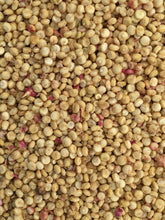 Load image into Gallery viewer, Quinoa-Siskiyou Red