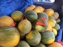 Load image into Gallery viewer, Melon-Kazakh