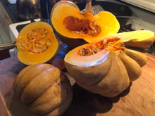 Load image into Gallery viewer, Squash-Winter-Kikuza