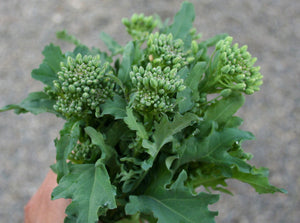 Broccoli-Raab Sorento
