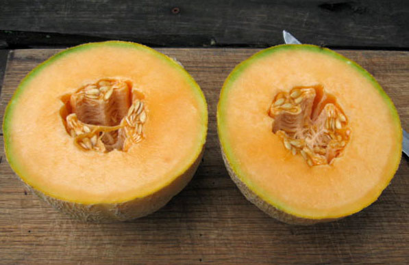 Honey Dew Melons - HarvesTime Foods