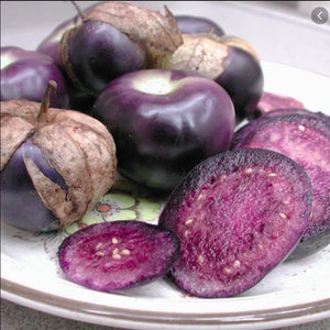 Tomatillo-Purple