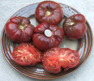Tomato-slicing-Black Early