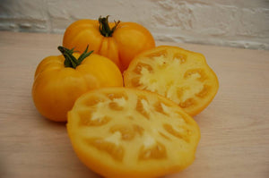 Tomato-slicing-Dakota Gold