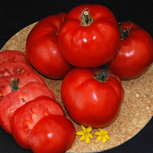 Tomato-paste-Sioux