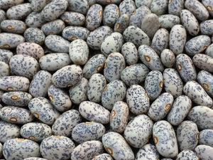 Beans-Tepary-Blue Speckled