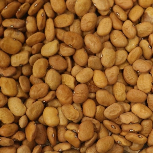 thumbnail image 2 of Organic Vegetable Seeds - Adaptive Seeds 2 of 11