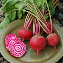 Load image into Gallery viewer, Beets-Chioggia
