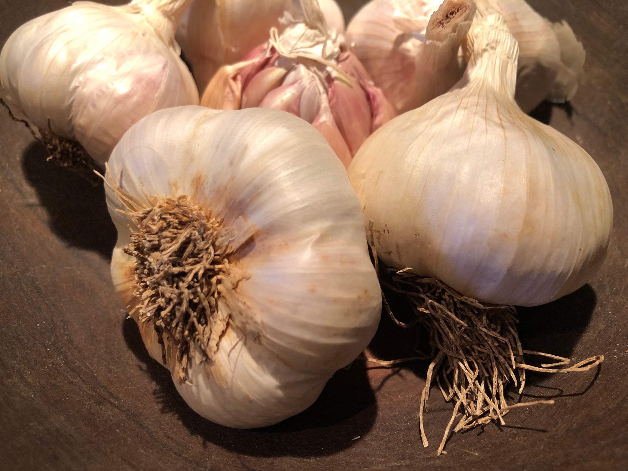 Pyong Yang – Hardy Seeds
