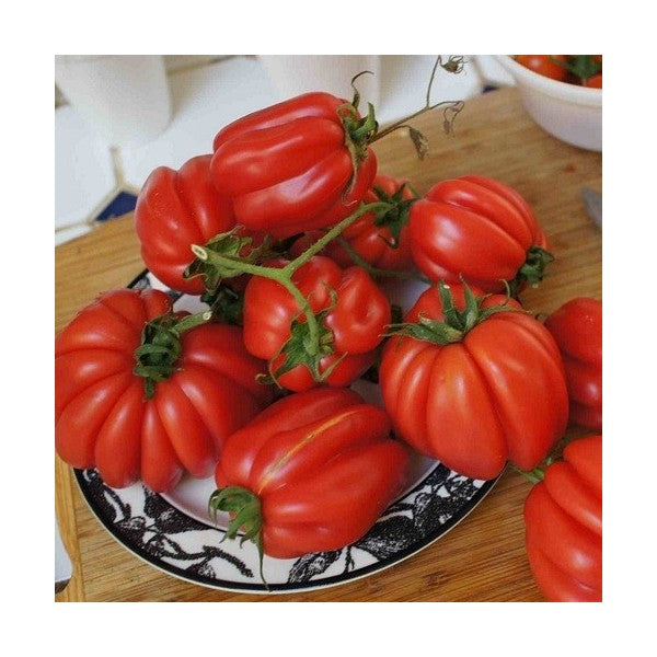 Tomato-paste-Gezahnte